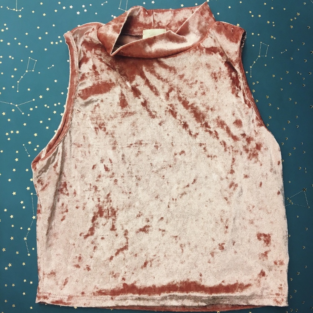 🌟PRICE DROP🌟NEW Pink Velvet High Neck Crop Top